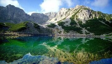 Фото номера Вилла Виллы Vihren Chalet г. Dolno Draglishte 62