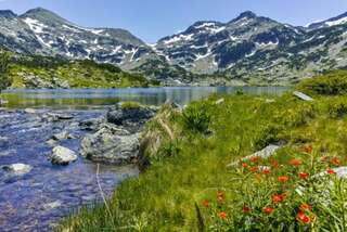 Фото Виллы Vihren Chalet г. Dolno Draglishte